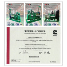 Fabricante del generador de China CUMMINS 20 Kw - 600 Kw Biomasa Genset